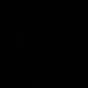 Meet your Posher, Amrik